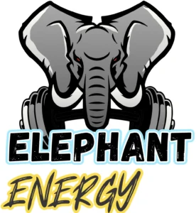 Elephant Energy